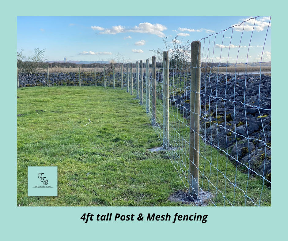 4ft tall Post & Mesh fencing
