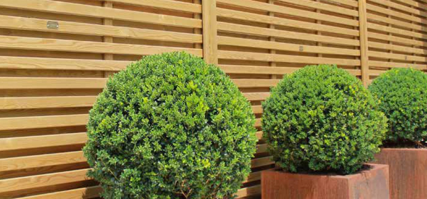 Venetian Fence Panels Are A Great Choice for Your Garden