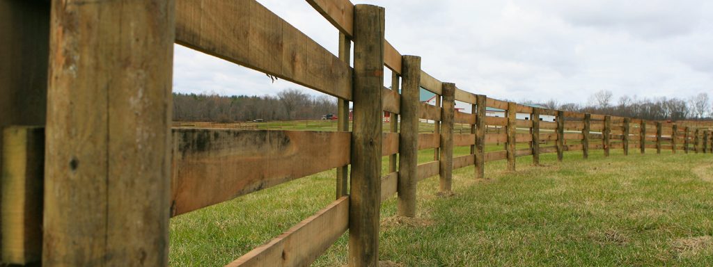 Cheshire Equestrian Fencing
